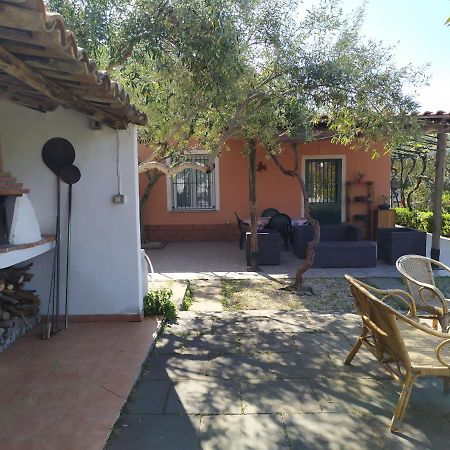 Il Vigneto "Cottage" Gaggi Exteriér fotografie