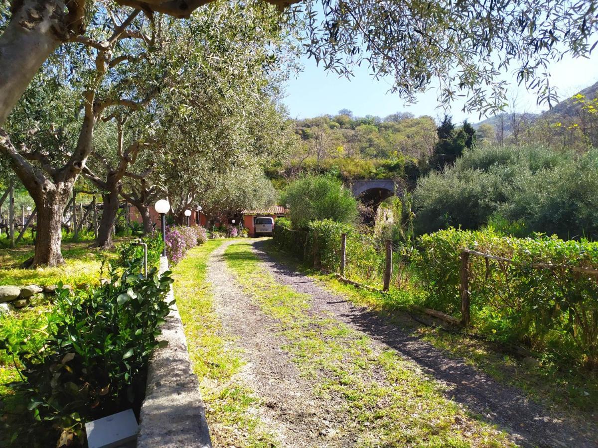 Il Vigneto "Cottage" Gaggi Exteriér fotografie