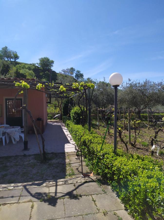 Il Vigneto "Cottage" Gaggi Exteriér fotografie