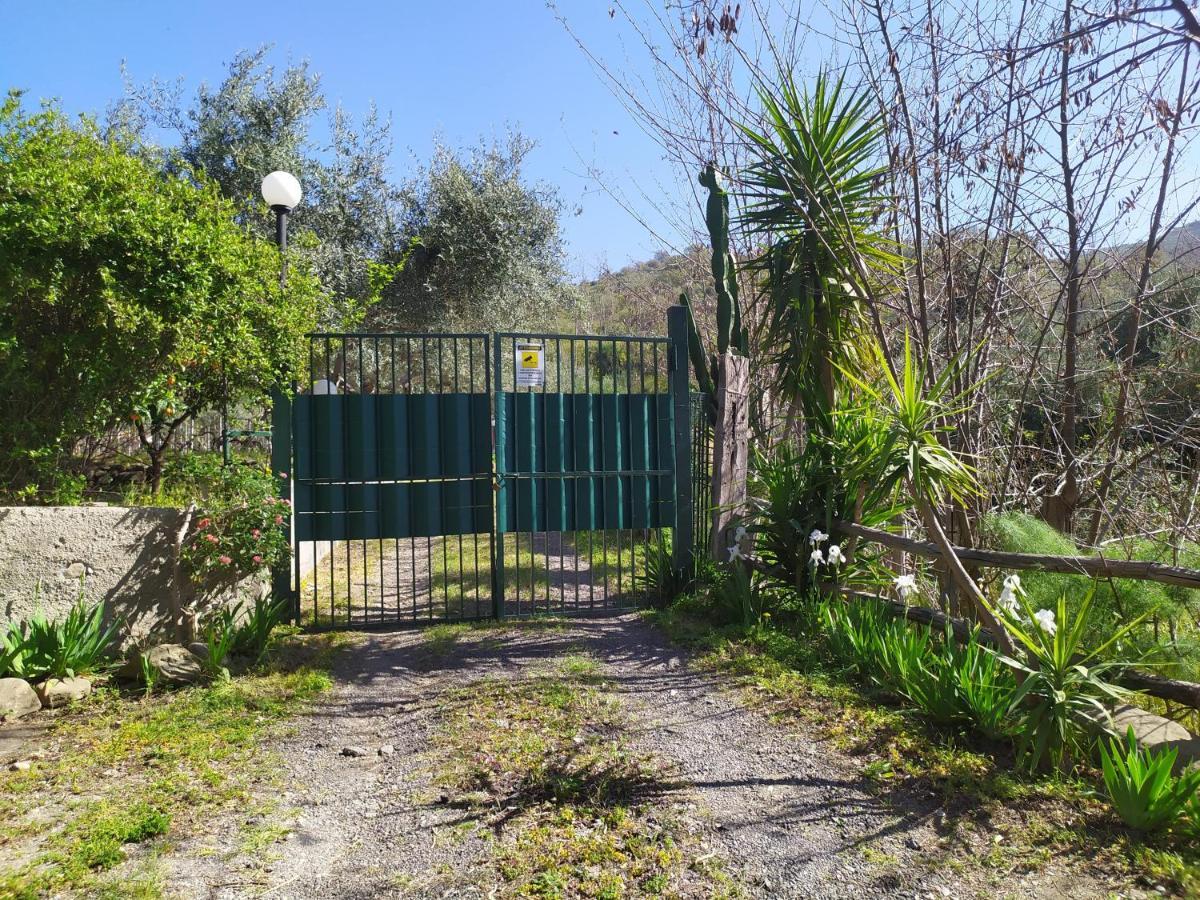 Il Vigneto "Cottage" Gaggi Exteriér fotografie